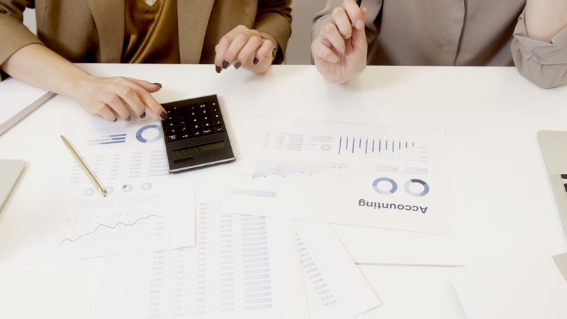 Business advisor reviewing financials with client