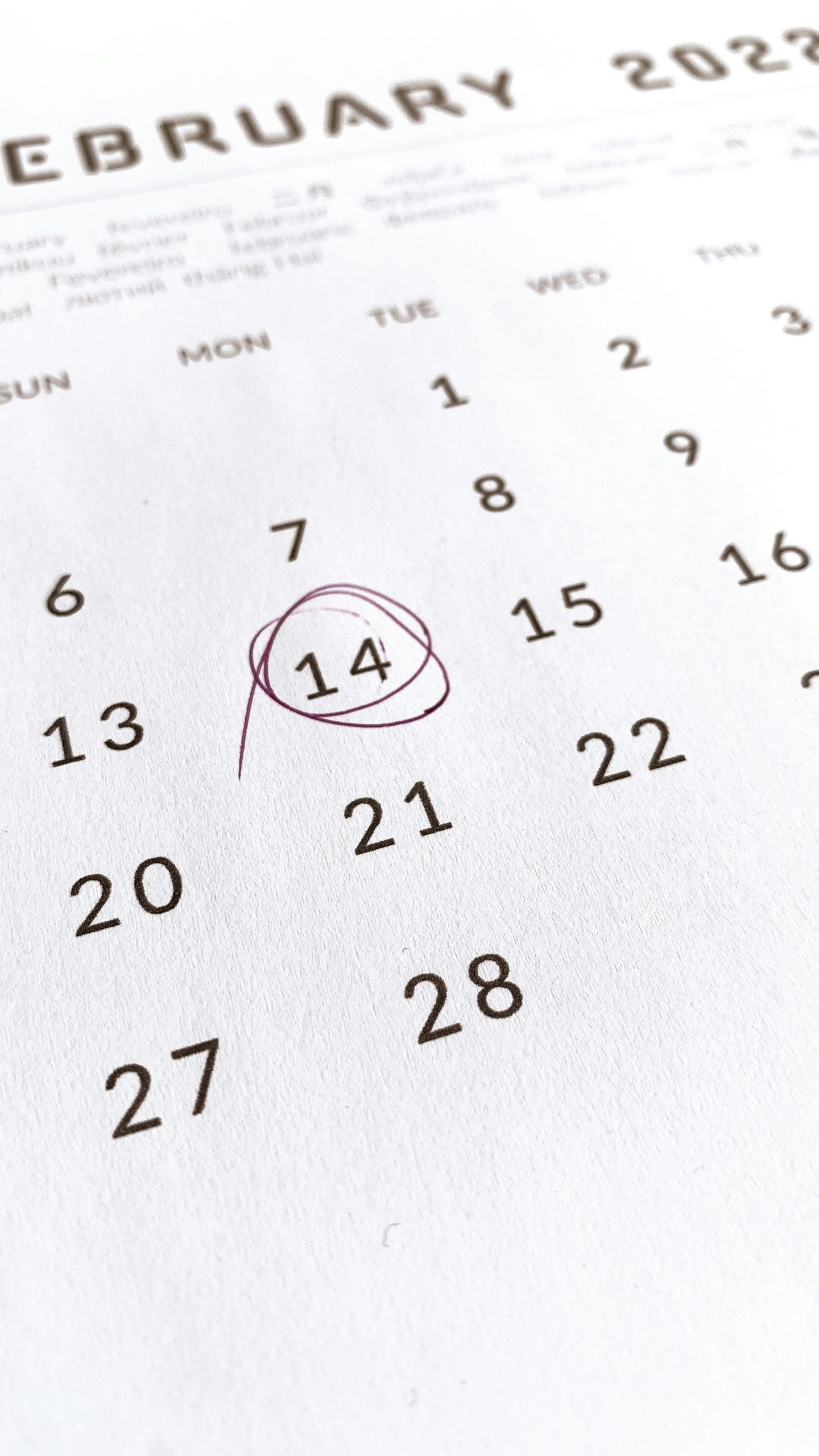 Leading vs. Lagging Indicators: Why Your Monthly P&L is Telling the Wrong Story